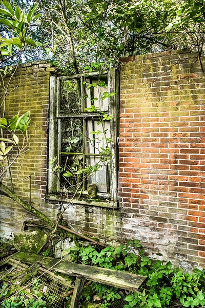 ruinöses Fenster von Willem Visser
