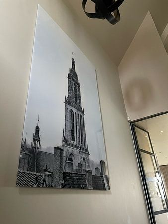 Black and white Cunera