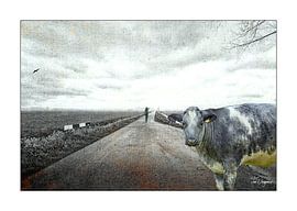 Kuh auf der Straße von Han Overgaauw