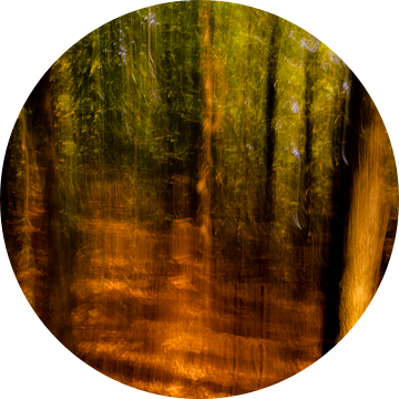 Bos geschilderd met camera