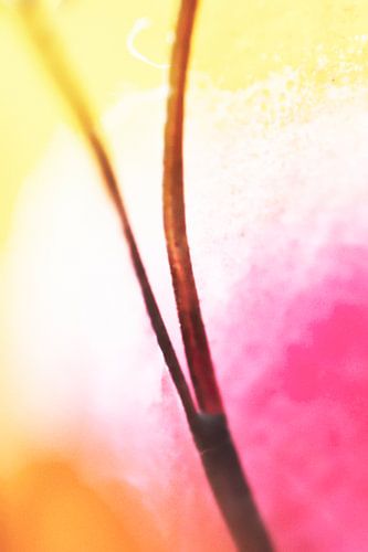 geteilt von Pictures by GJ