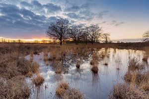 Sonnenuntergang in einem Drenther Moor