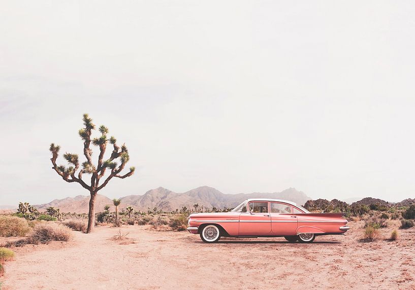 In the desert by Kathrin Pienaar