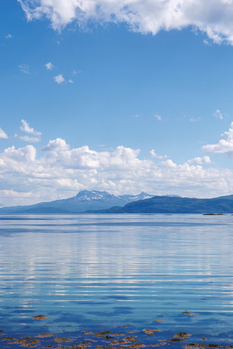 Scandinavian fjords