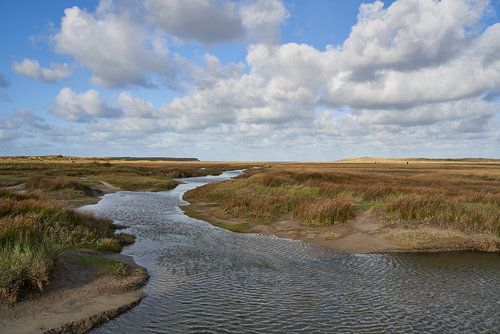 The Sluftervallei on Texel
