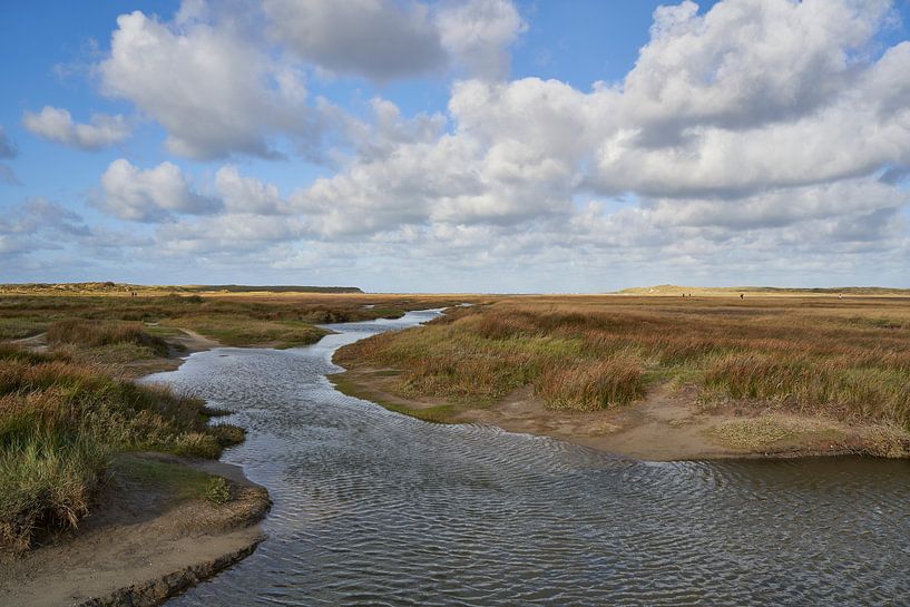 Die Sluftervallei auf Texel von Lisanne Storm