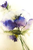 Anemoon in blauw