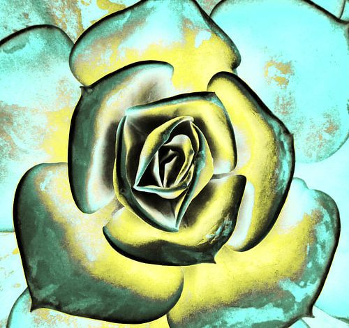 POPART OF SUCCULENTS II