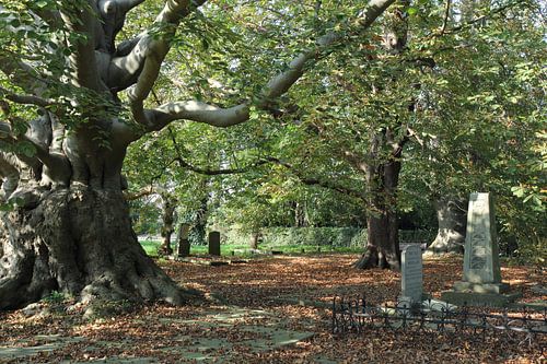 Friedhof Groenesteeg Leiden