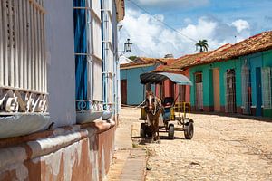 Pferd und Kutsche in Trinidad