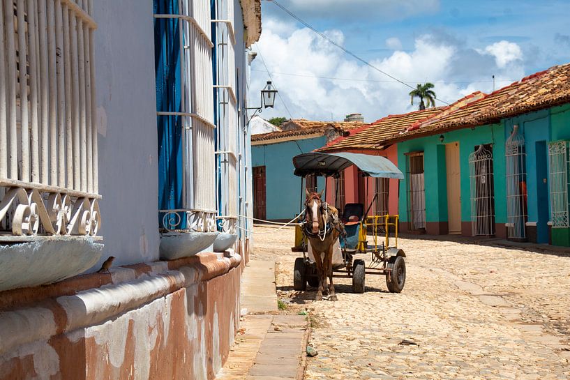 Paard en wagen in Trinidad van Tom Hengst