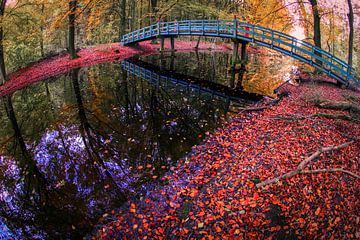 Bleu bridge by peterheinspictures