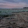 La sécheresse avec le soleil couchant sur Miranda Heemskerk