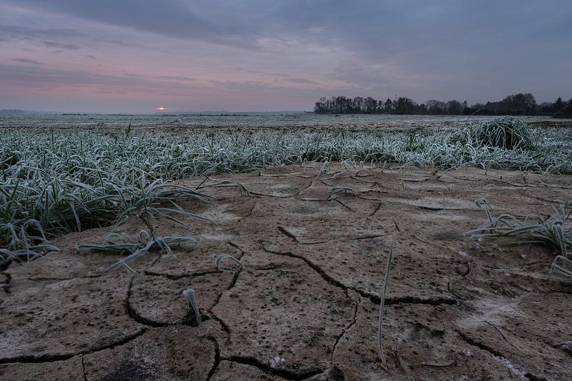 Drought with setting sun by Miranda Heemskerk