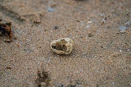Beach van Mark Damhuis