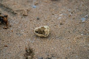 Beach van Mark Damhuis