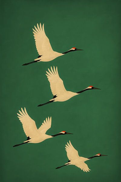 Harmony in Motion by But First Framing