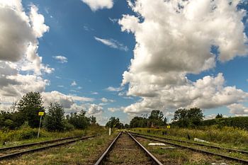 Million Line Simple Field