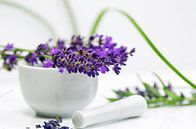 Lavendel Stillleben für die Praxis von Tanja Riedel Miniaturansicht