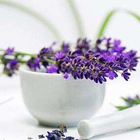 Lavender still life for the practice by Tanja Riedel