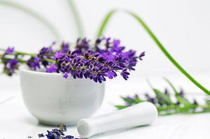 Lavender still life for the practice