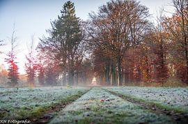 Automne 2020 sur N-Joy Pictures