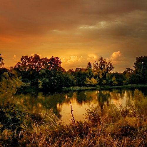 Indian Summer Vibes. In Goud. Frankrijk