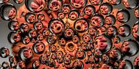 Panorama of a pink Gerbera