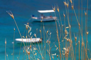 Memories.. by Miranda van Hulst