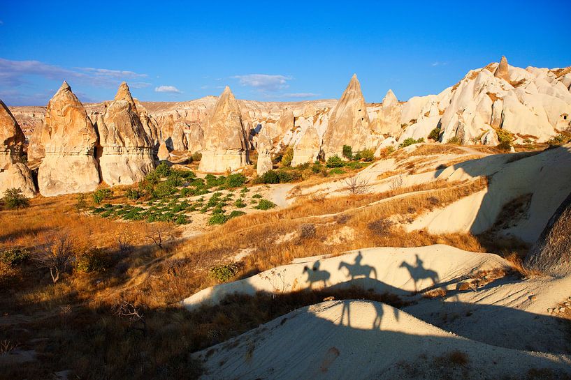 Cappadocië: het land van de paarden van Menno Boermans