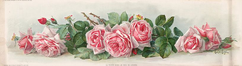 Franse rozen, Paul de Longpré van Meesterlijcke Meesters