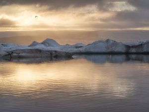 Jökulsárlón Träume