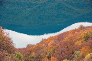 Abstract natuur: rivier tussen bergen in Georgië in de herfst