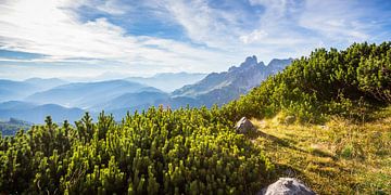 Mountain landscape in the late afternoon sun