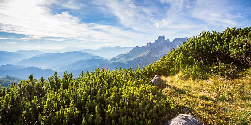 Berglandschaft in der späten Nachmittagssonne von Coen Weesjes