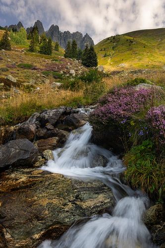 Mooie waterval met paarse heide en bloemen in de Franse Alpen.