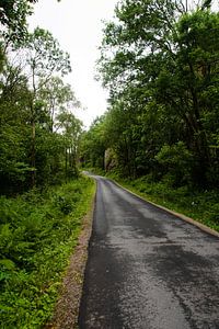 Der Weg zum Glück von Manon Verijdt