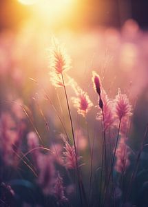Goldene Stunde