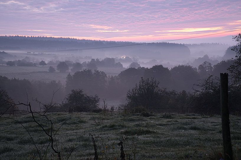Arbre dans une prairie par temps de brouillard au lever du soleil par Martin Köbsch