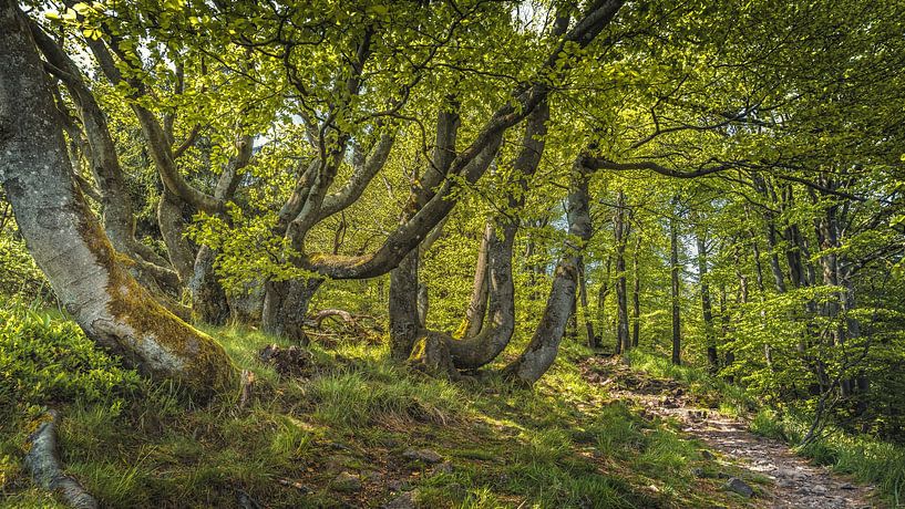 Rennsteig by rosstek ®