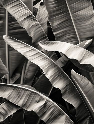 Tropical vibes by Studio Allee