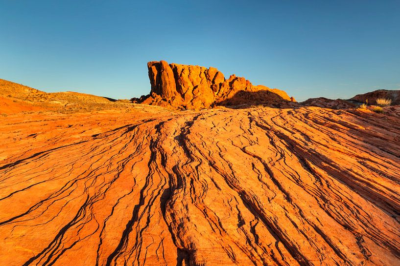 White Domes, Valley of Fire State Park, Nevada, USA by Markus Lange
