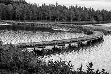 Houten brug van marco de Jonge