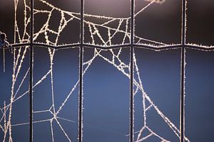 Abstracte Wintervorstpatronen