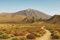 Le Teide