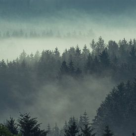 Forêt bavaroise dans le brouillard sur Tobias Luxberg