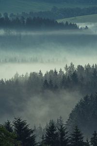 Beierse Woud in de Mist van Tobias Luxberg