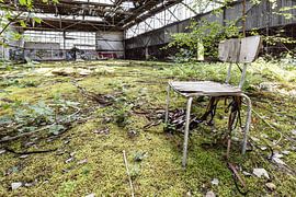 35 by Frank Herrmann