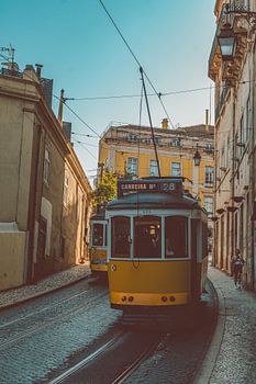 Querende Straßenbahnen