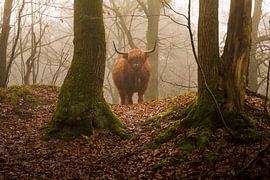 On the lookout by Marcel Jagt